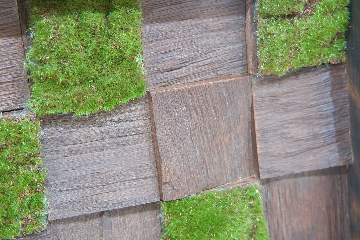 杉枠と苔の壁掛け