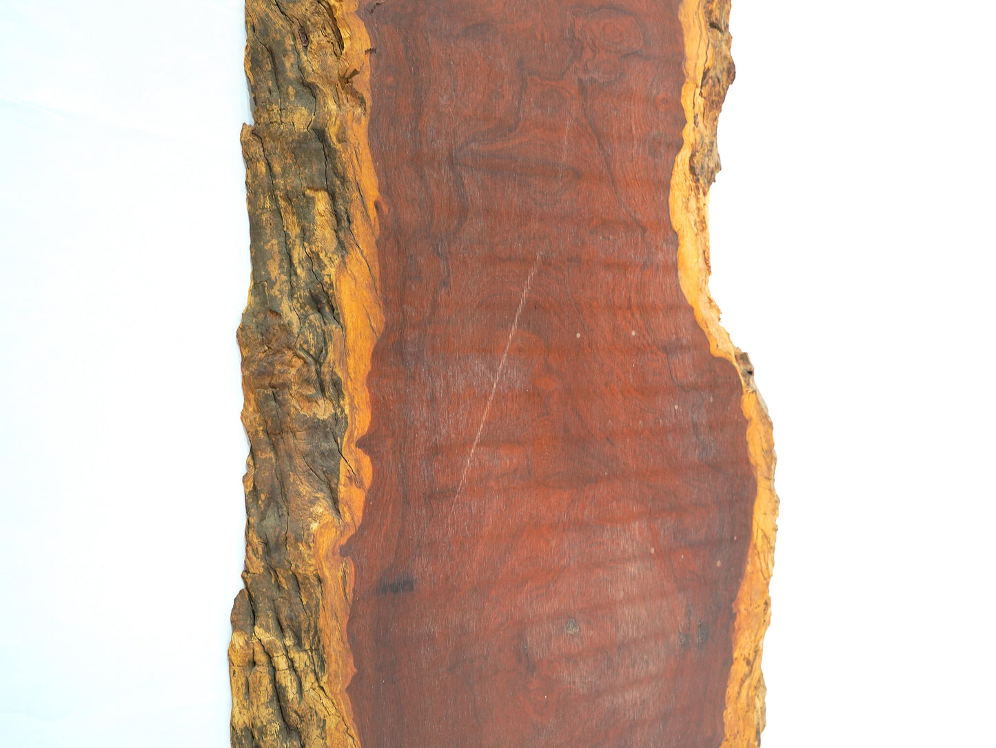 K-007 カリン 1,560mm×440mm×40mm