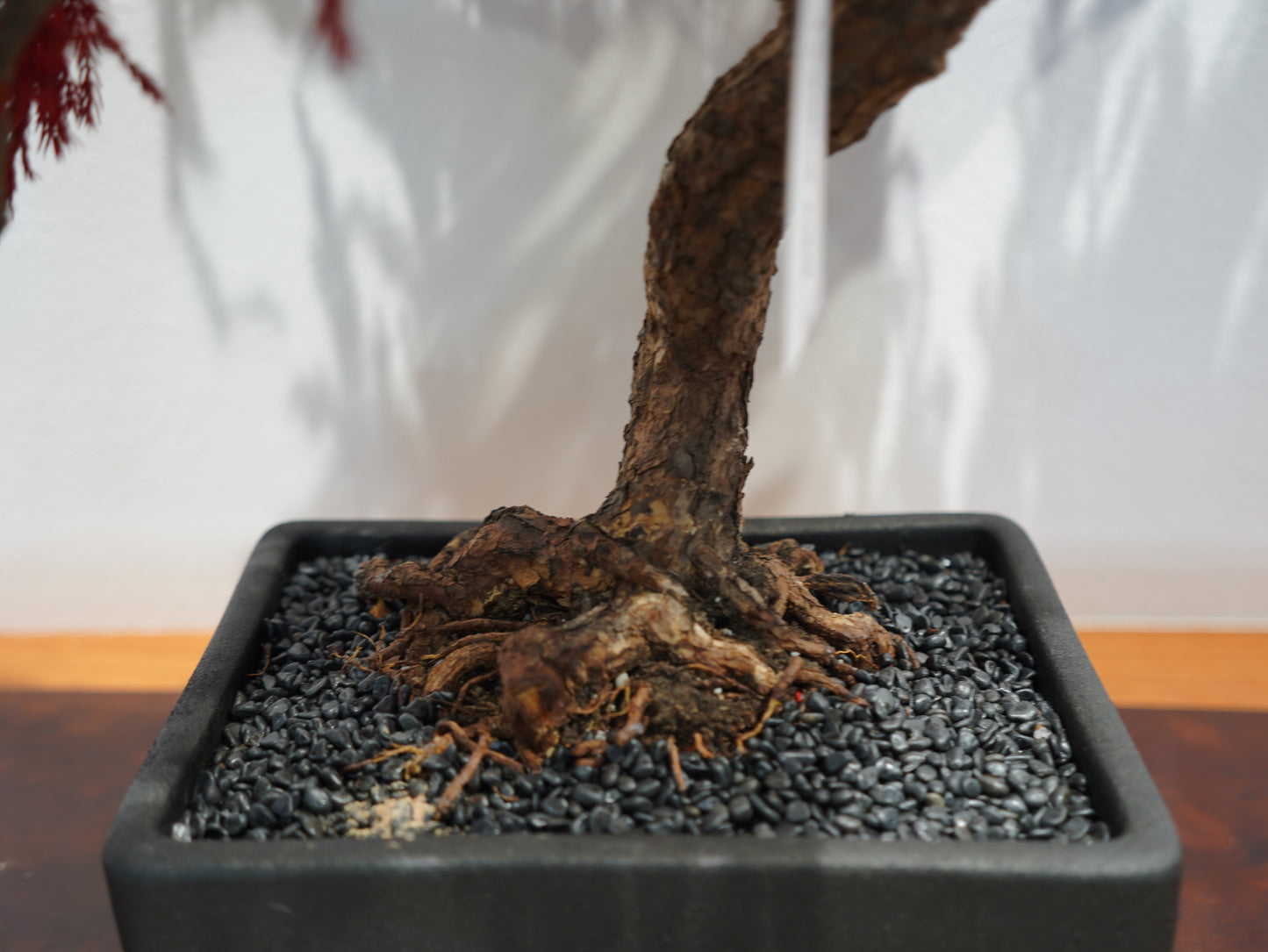 SOLD OUT Lab-0003 PHOENIX -不死鳥-