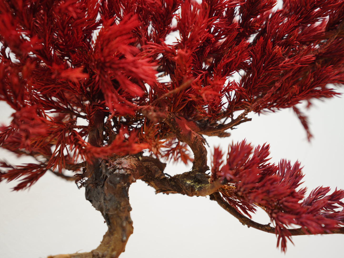 SOLD OUT Lab-0011 火影