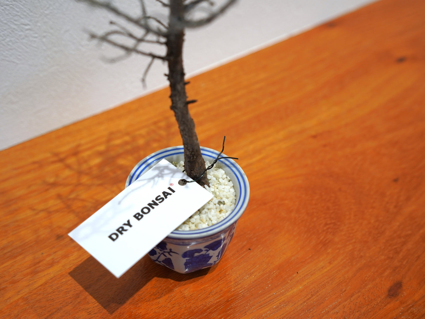 Lab-0014 flor de nieve(ニエヴェ)