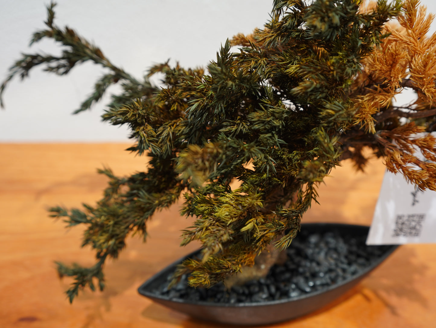 SOLD OUT Lab-0004 龍雲