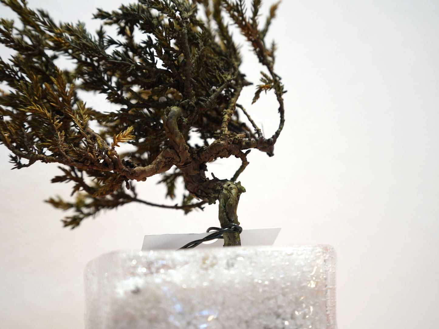 Lab-0009 un reve(アン レーヴ)