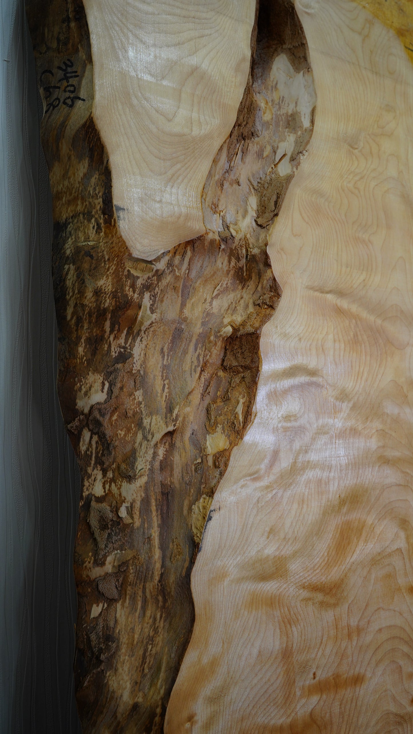 K-027 Mizume Sakura 1,800×600∼800×50