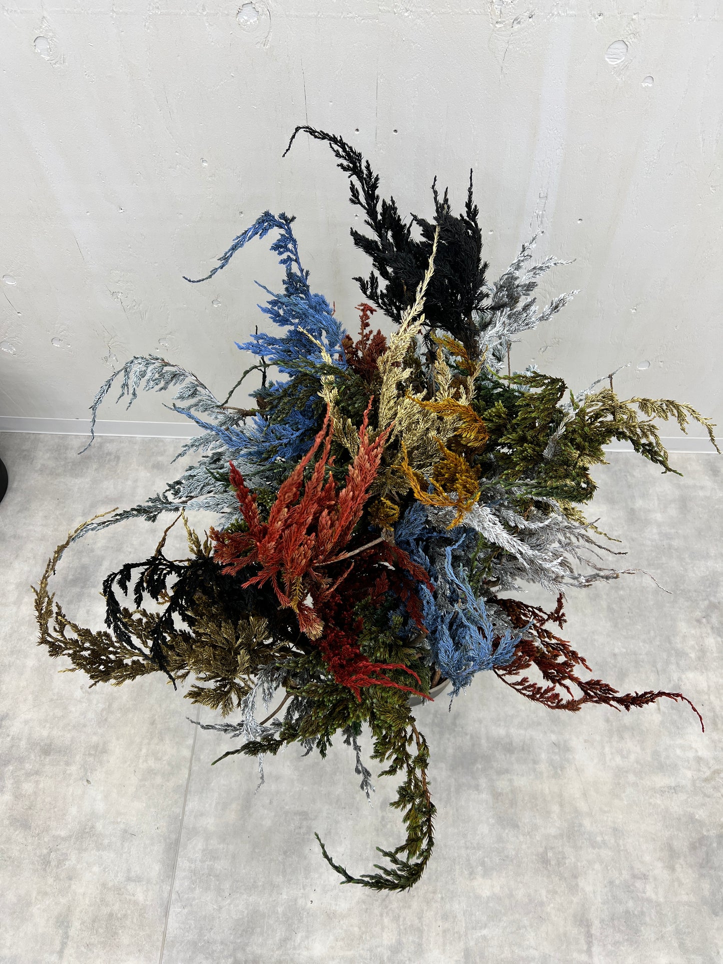 Lab-0054 -不知火シリーズ-