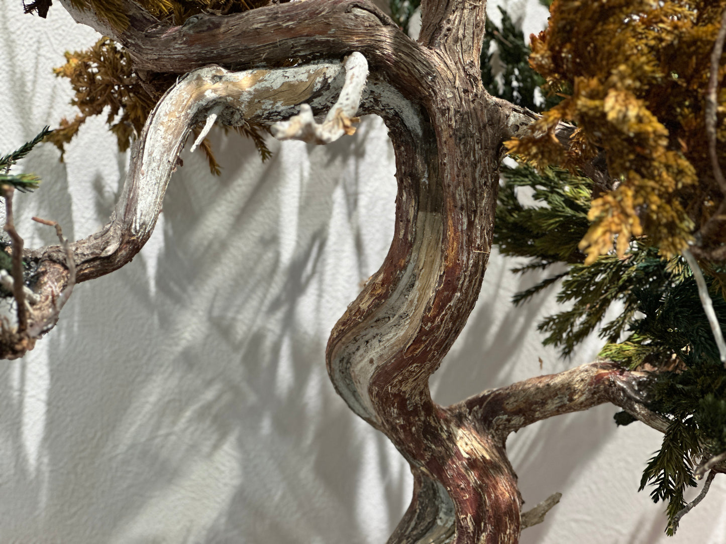 Lab-0037 星の樹 La Bonsai sec