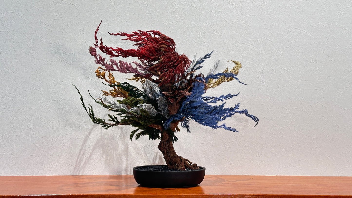 SOLD OUT Lab-0016 龍燈 -不知火シリーズ-