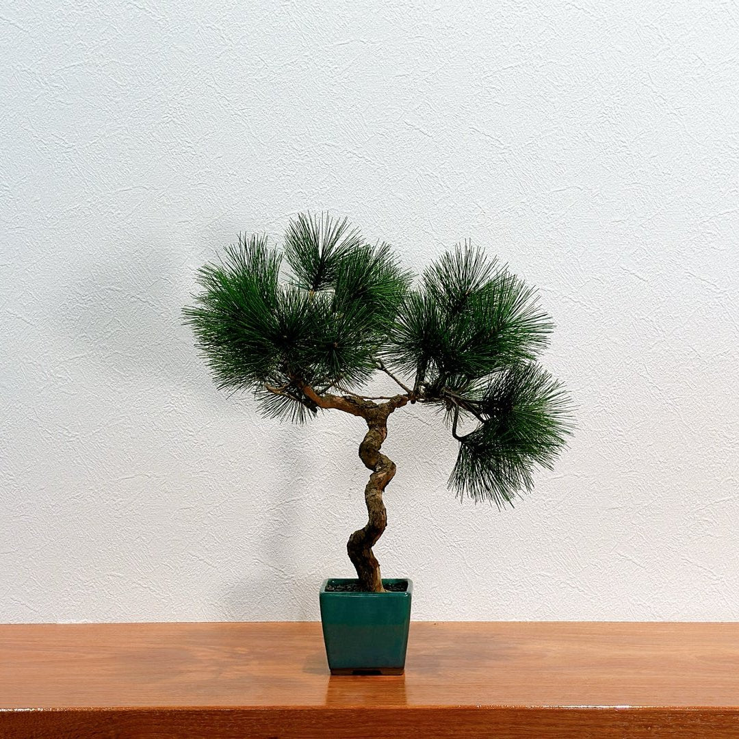 SOLD OUT Lab-0019 まだ見ぬ君へ