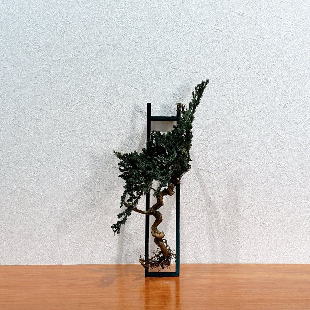 SOLD OUT Lab-0020 白鷺