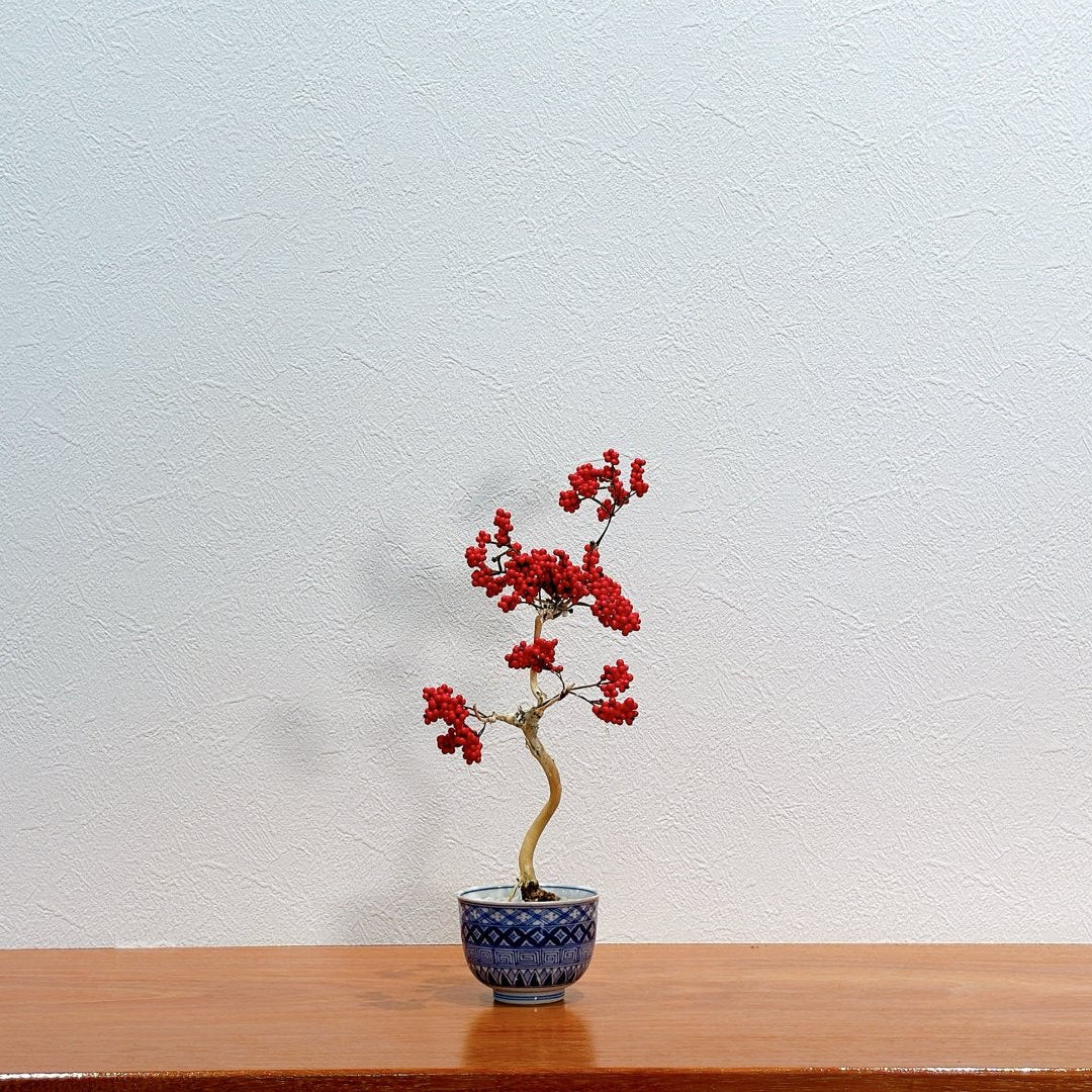 SOLD OUT Lab-0025 恋の訪れ