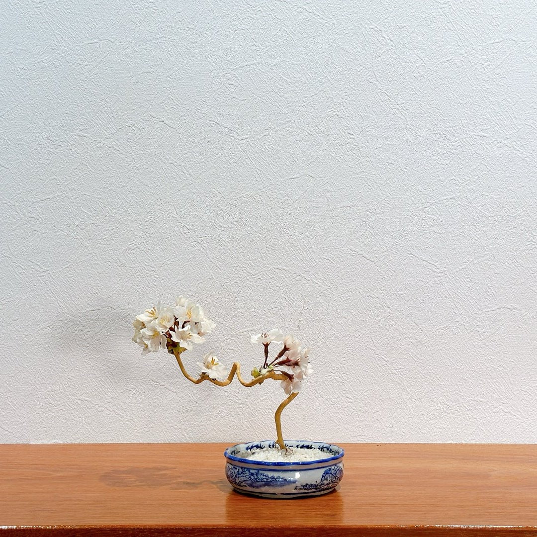 SOLD OUT Lab-0028 清純