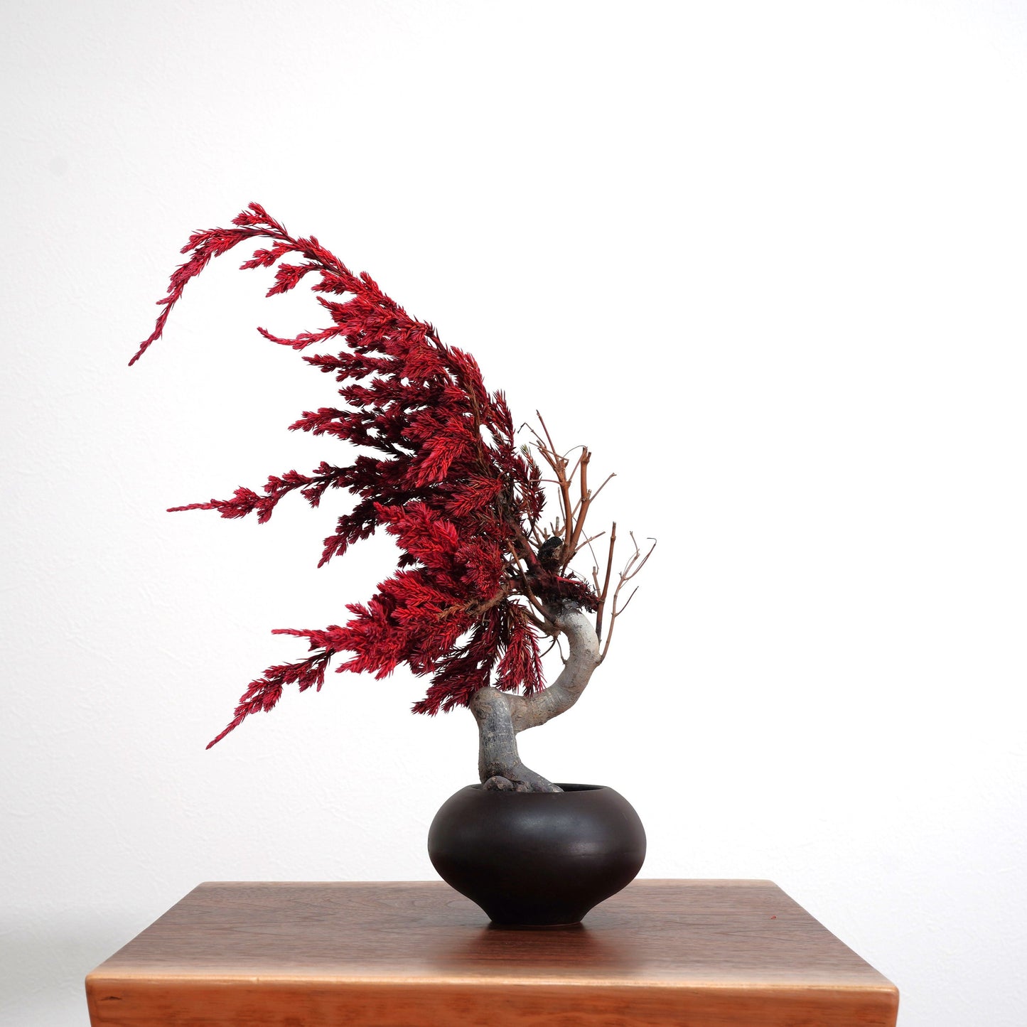 Lab-0031 豊かな愛 La Bonsai sec