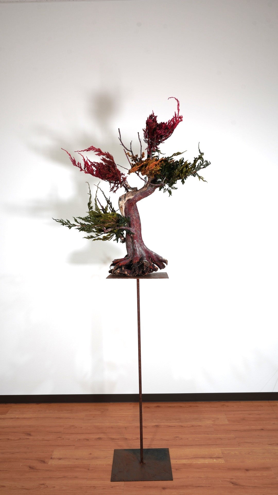 Lab-0034 黎明 La Bonsai sec