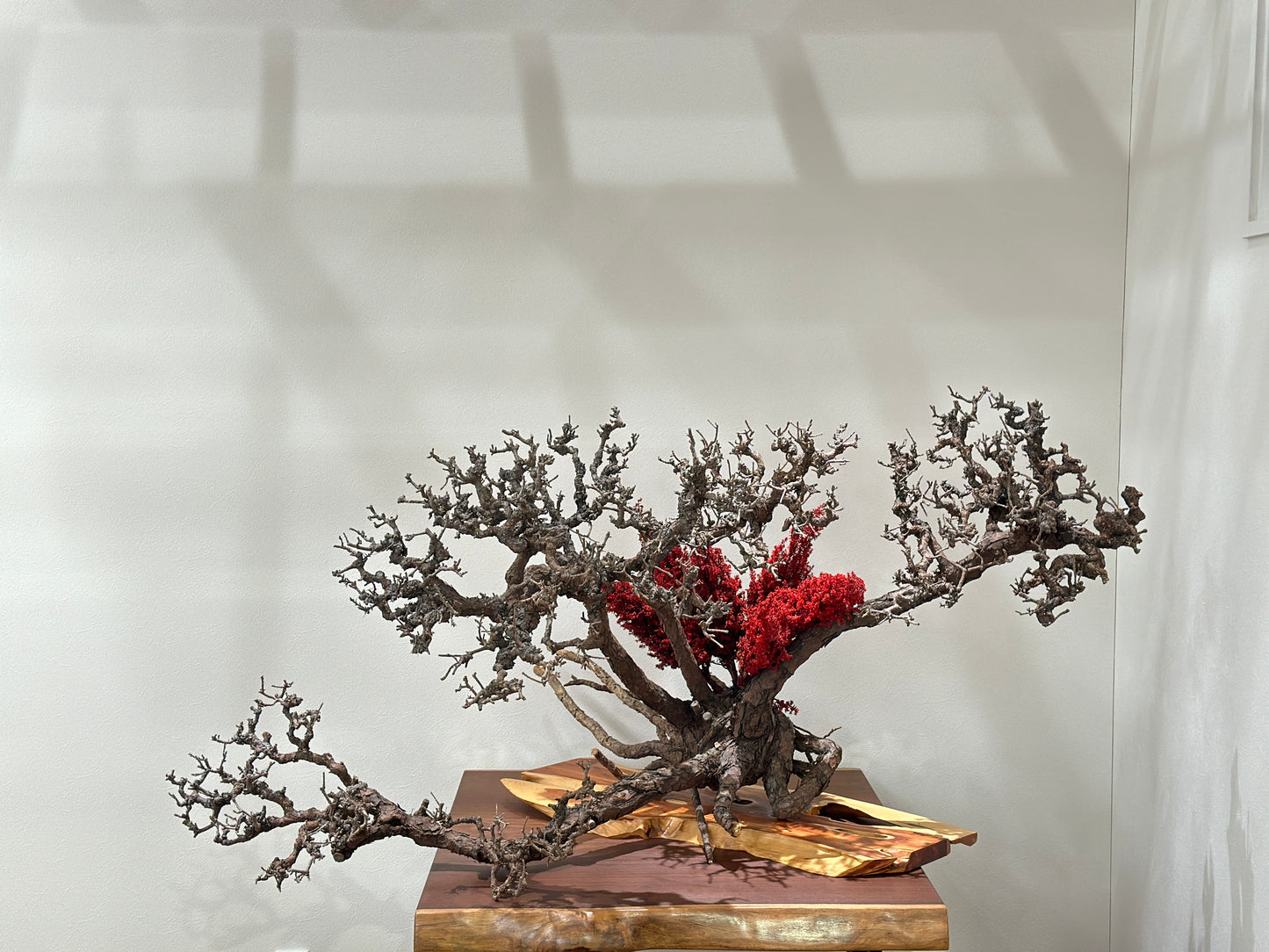 LaB-0043 富貴栄華