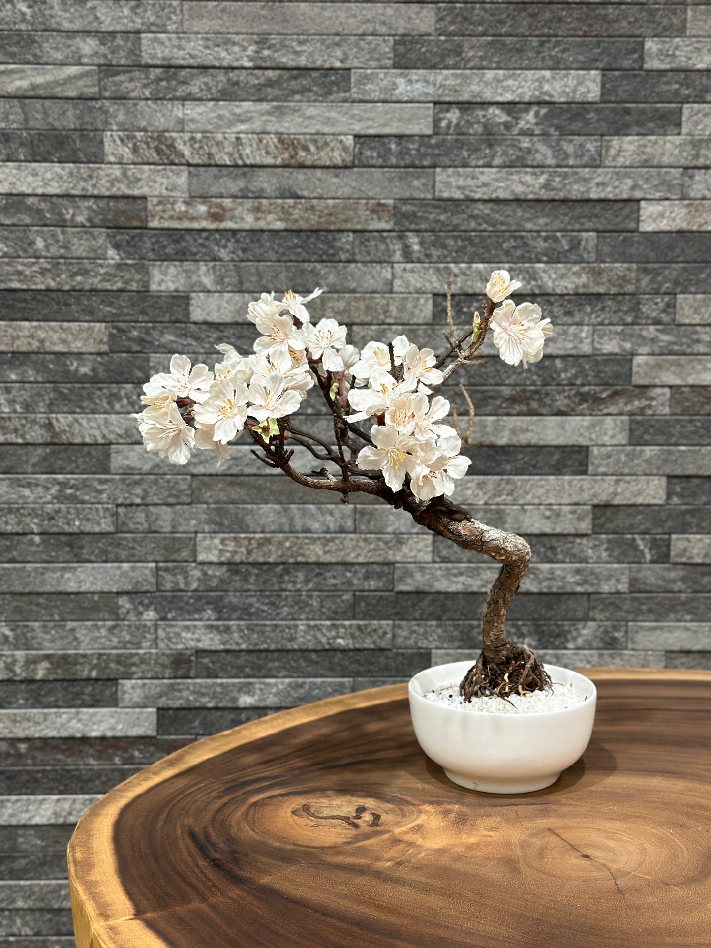 SOLD OUT LaB-0073 桜