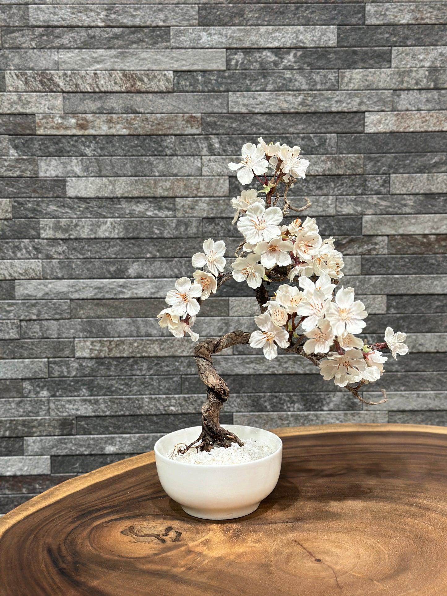 SOLD OUT LaB-0074 サクラ