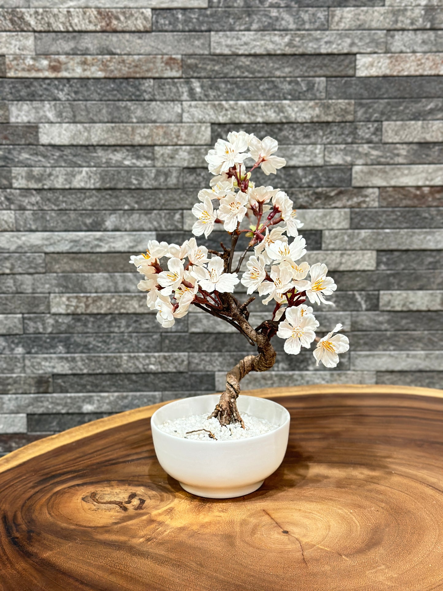 SOLD OUT LaB-0075 さくら