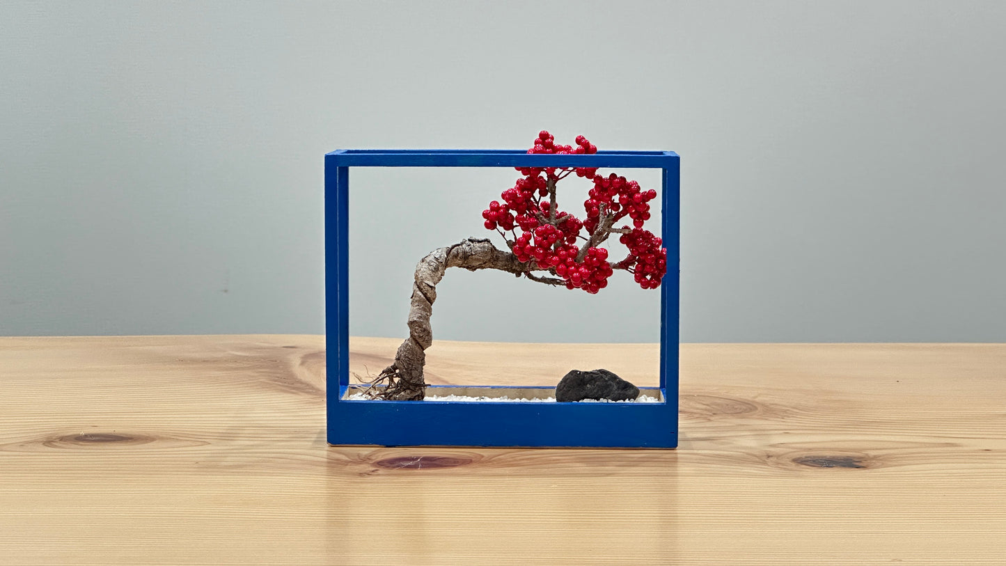 Lab-0085 La Bonsai sec frame type
