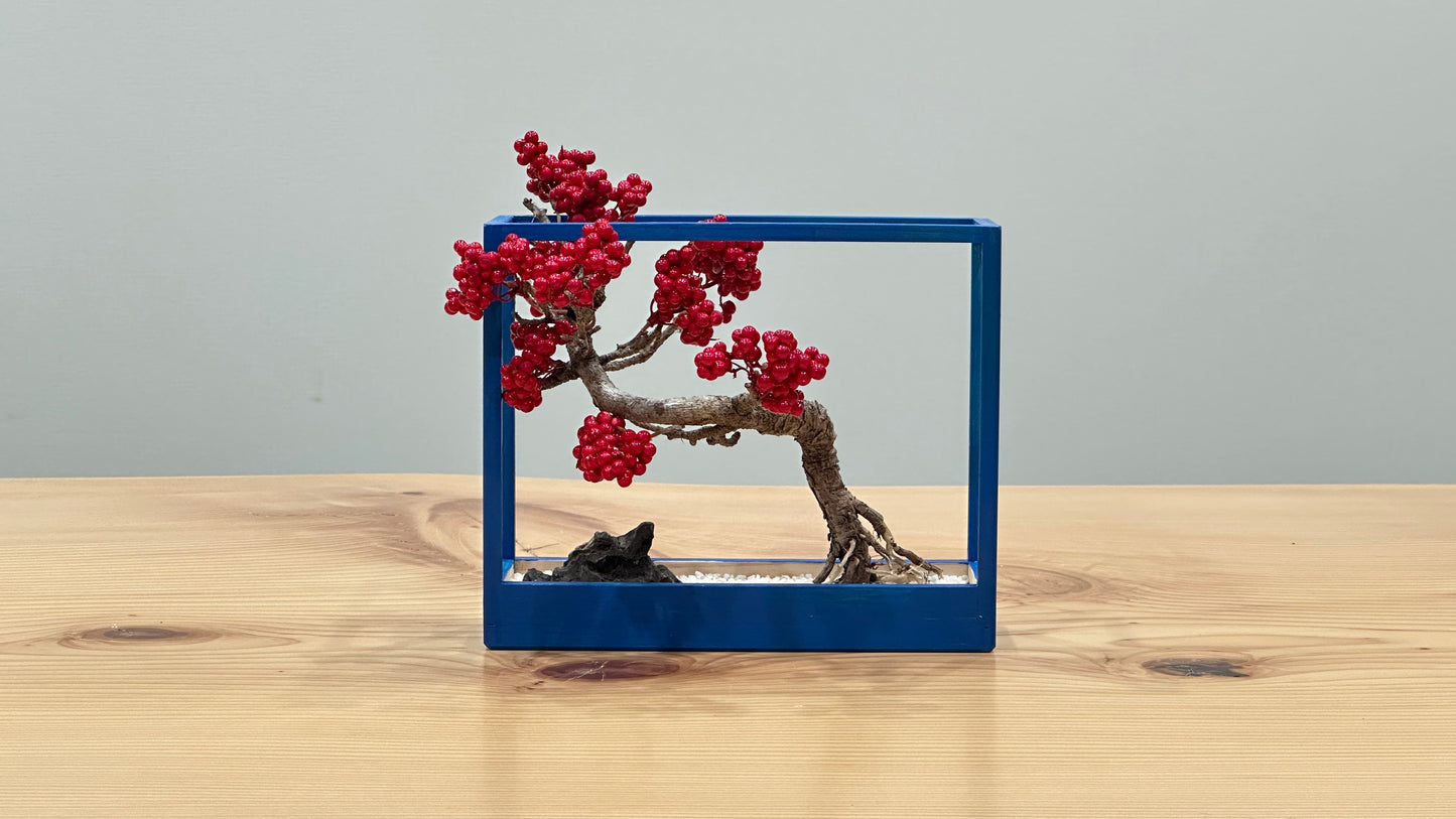 SOLD OUT Lab-0086 La Bonsai sec frame type