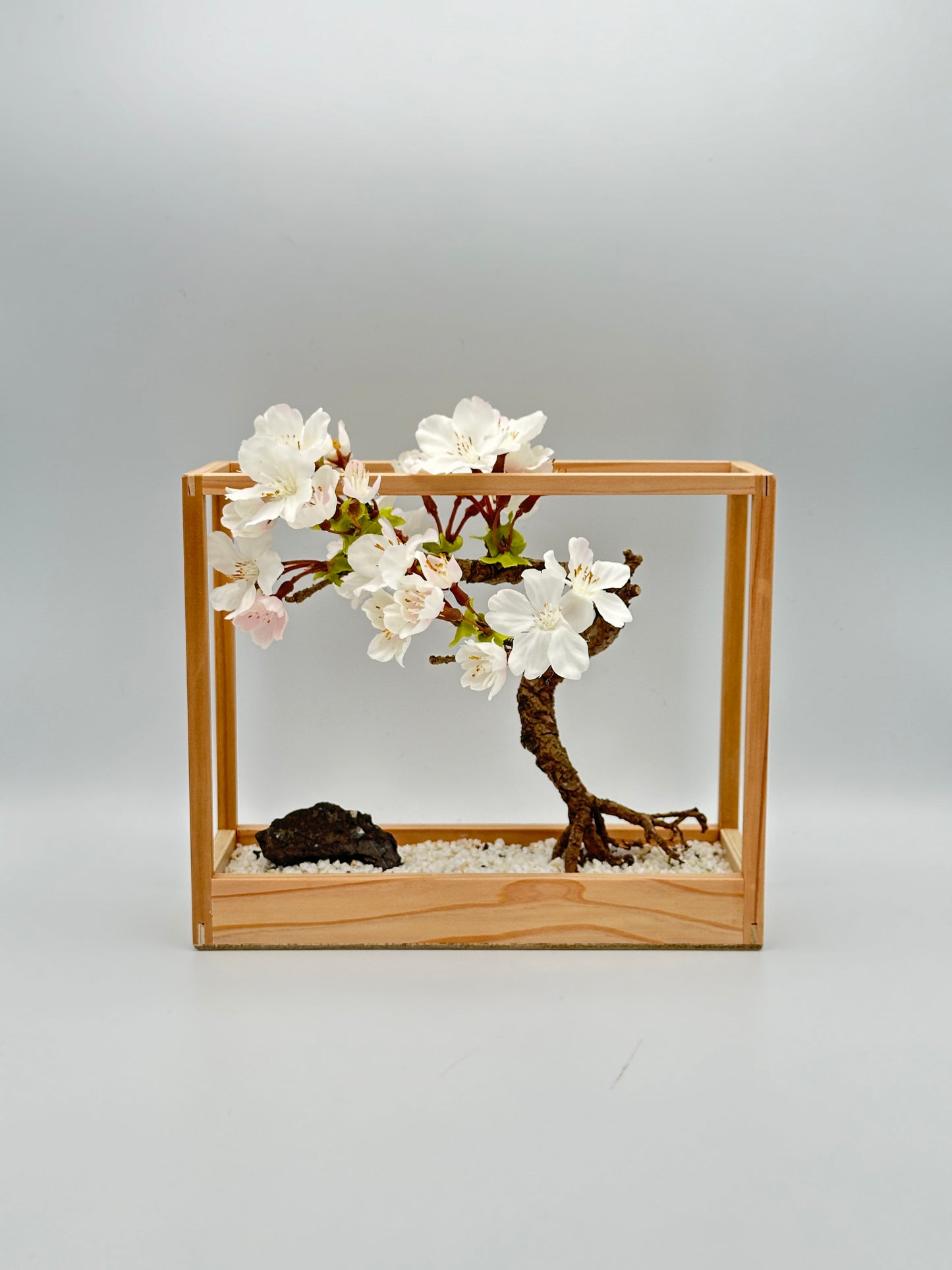 SOLD OUT Lab-0089 La Bonsai sec frame type