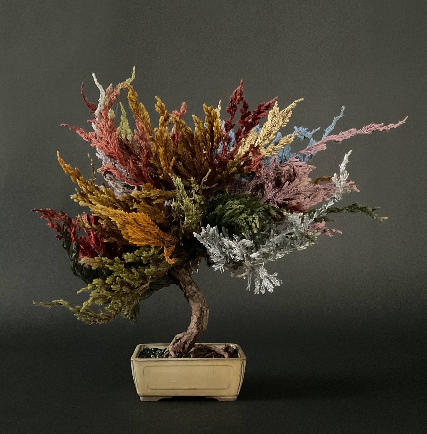 SOLD OUT Lab-0100 不知火シリーズ