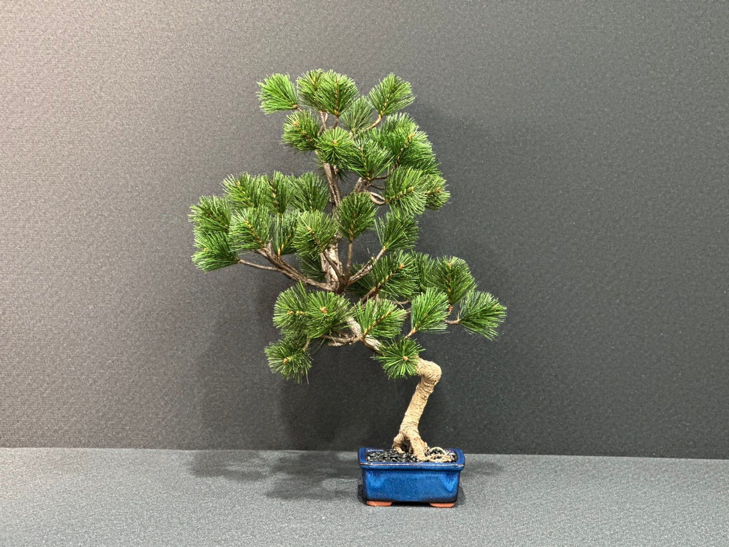 Lab-0150 松シリーズ