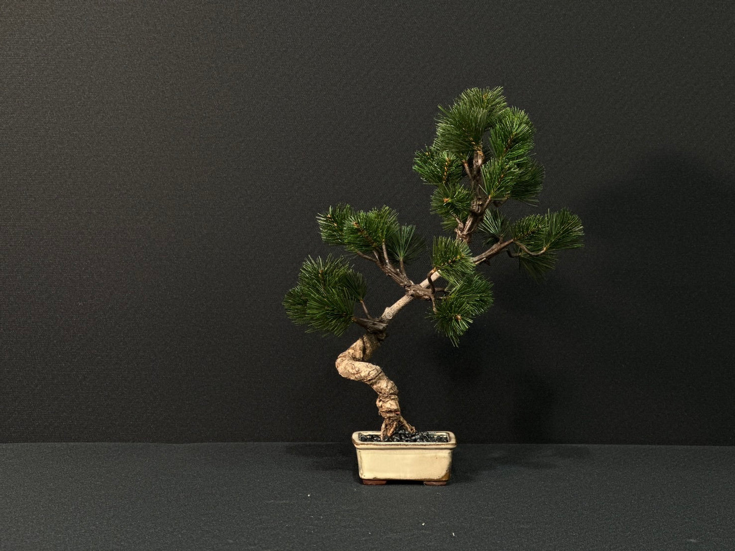 Lab-0151 松シリーズ