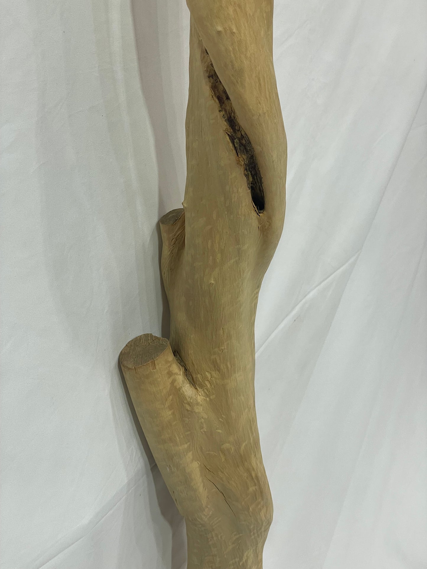 P0002 変木(チシャ) 2,050mm × 80mm × 80mm