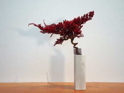 SOLD OUT Lab-0011 火影