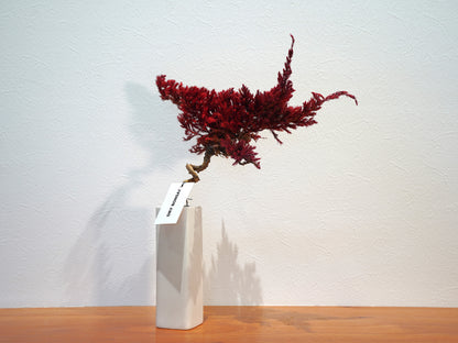 SOLD OUT Lab-0011 火影