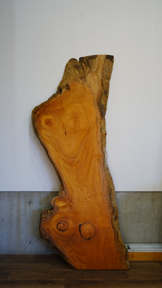 K-029 Zelkova 2,400×830∼550×50