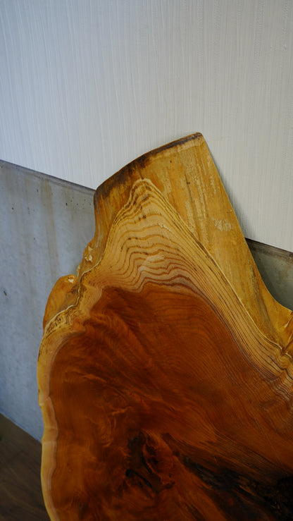 K-036 Zelkova 1,000×800×50