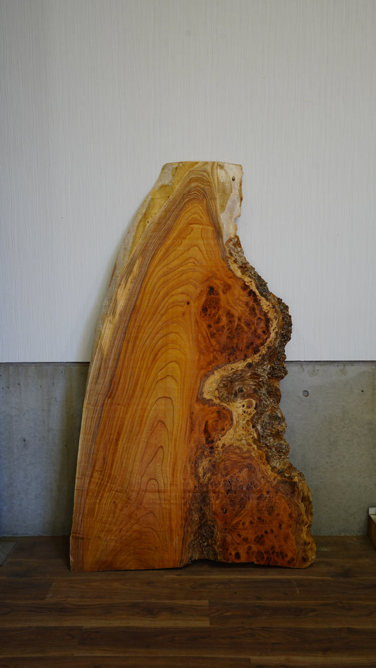 K-037 Zelkova 1,640×330∼940×42