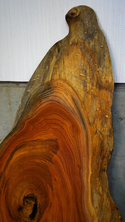 K-046 Zelkova 1,000×350×45