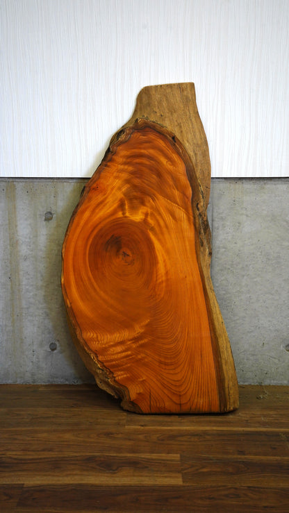 K-047 Zelkova 1,100×450×60