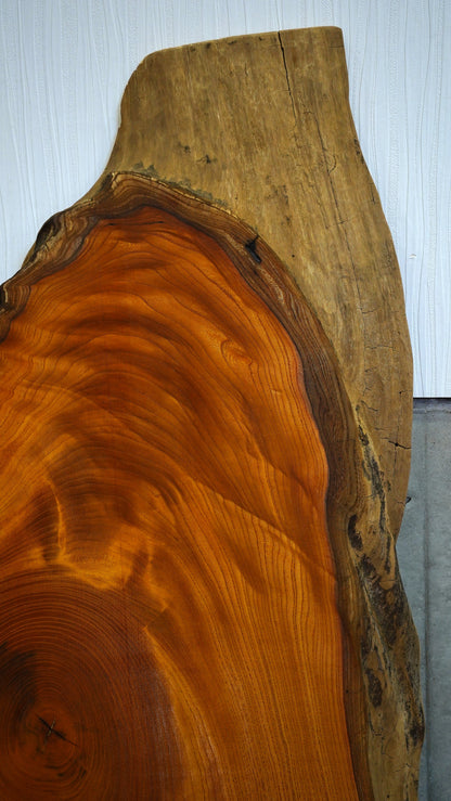 K-047 Zelkova 1,100×450×60