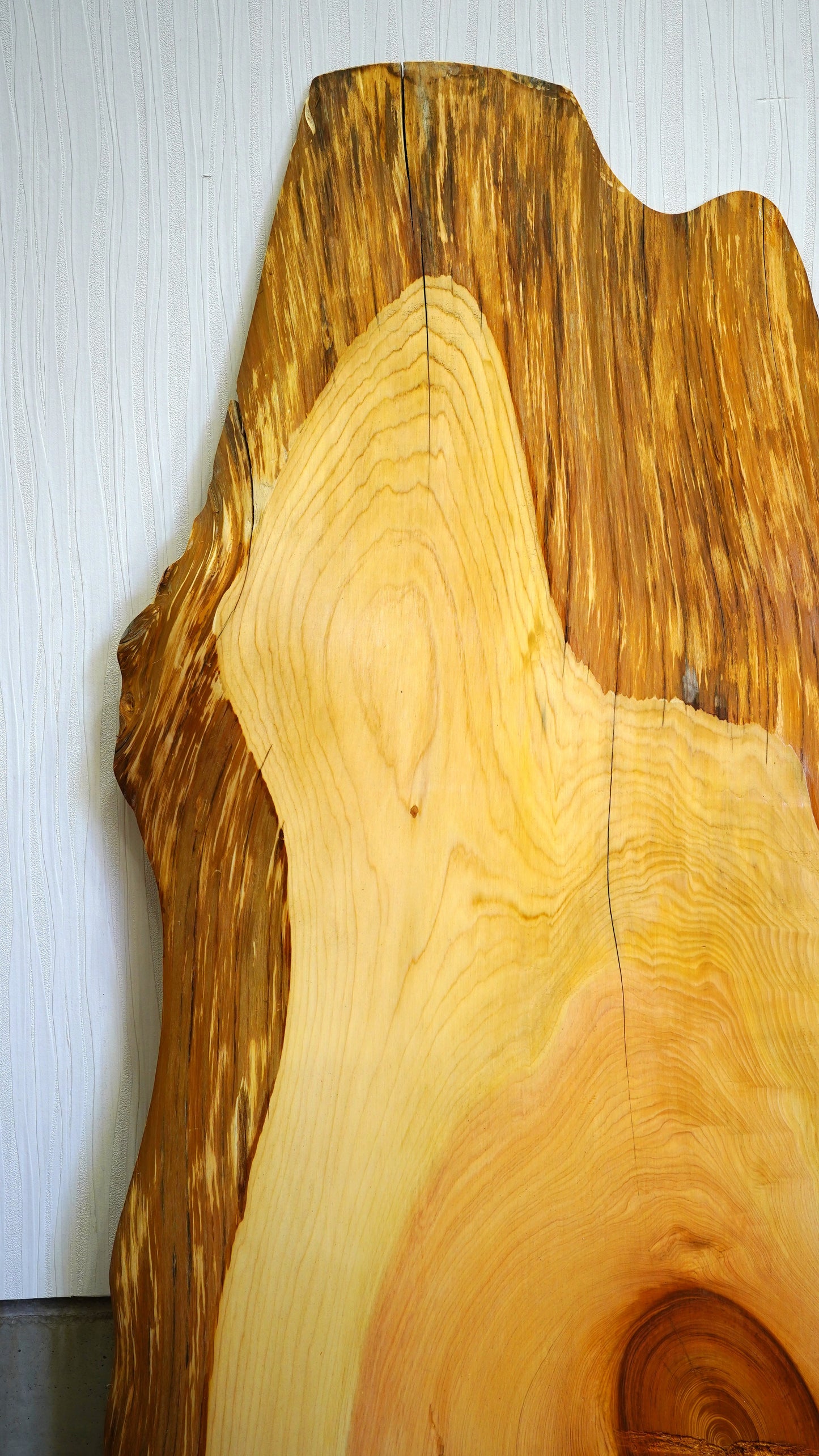 K-055 Cedar 1,600×500×65