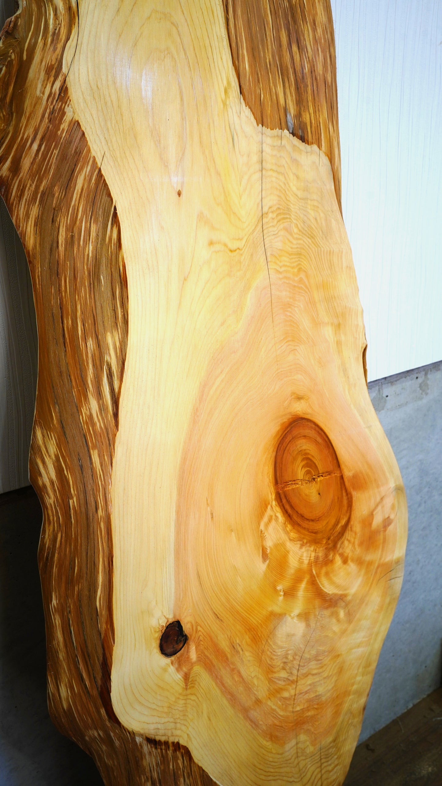 K-055 Cedar 1,600×500×65