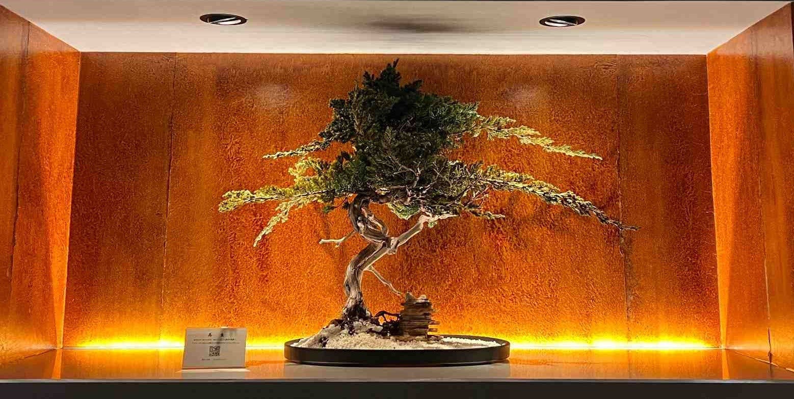 La Bonsai sec – メイボックジャパン
