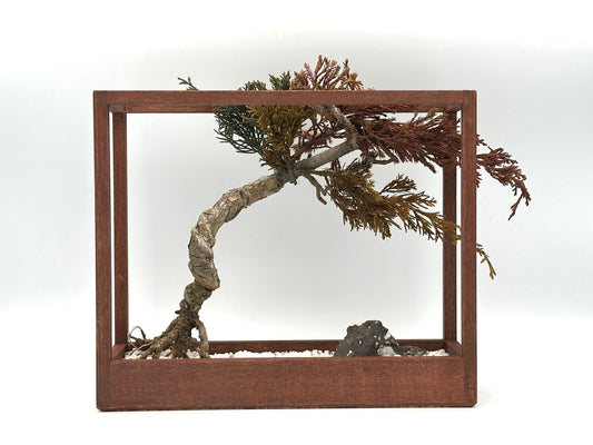 Lab-0080　La Bonsai sec frame type