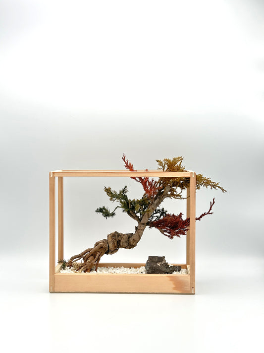 LaB-0081 La Bonsai sec frame type