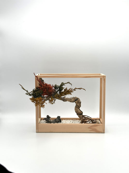 Lab-0082 La Bonsai sec frame type