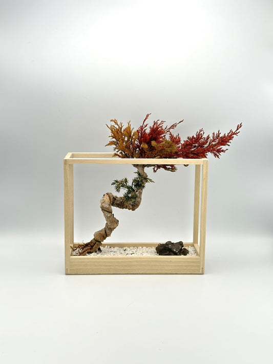 Lab-0083 La Bonsai sec frame type