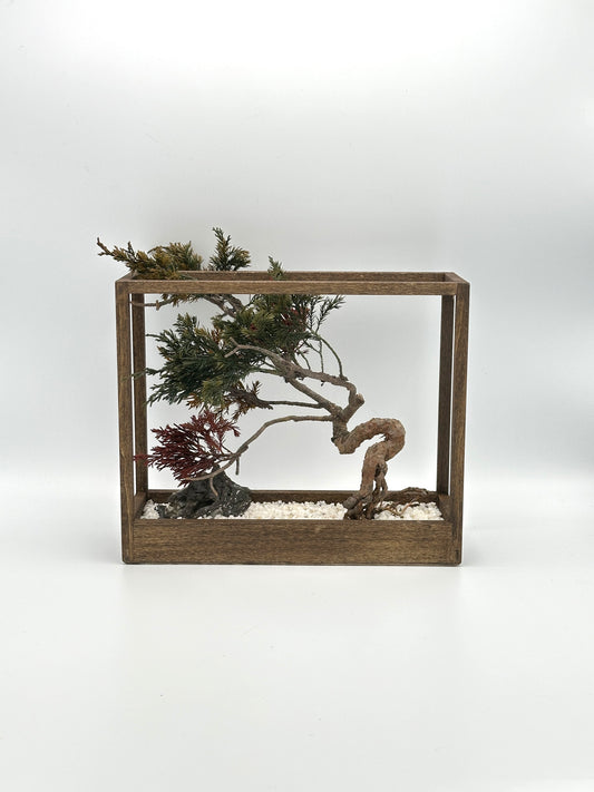 Lab-0084 La Bonsai sec frame type