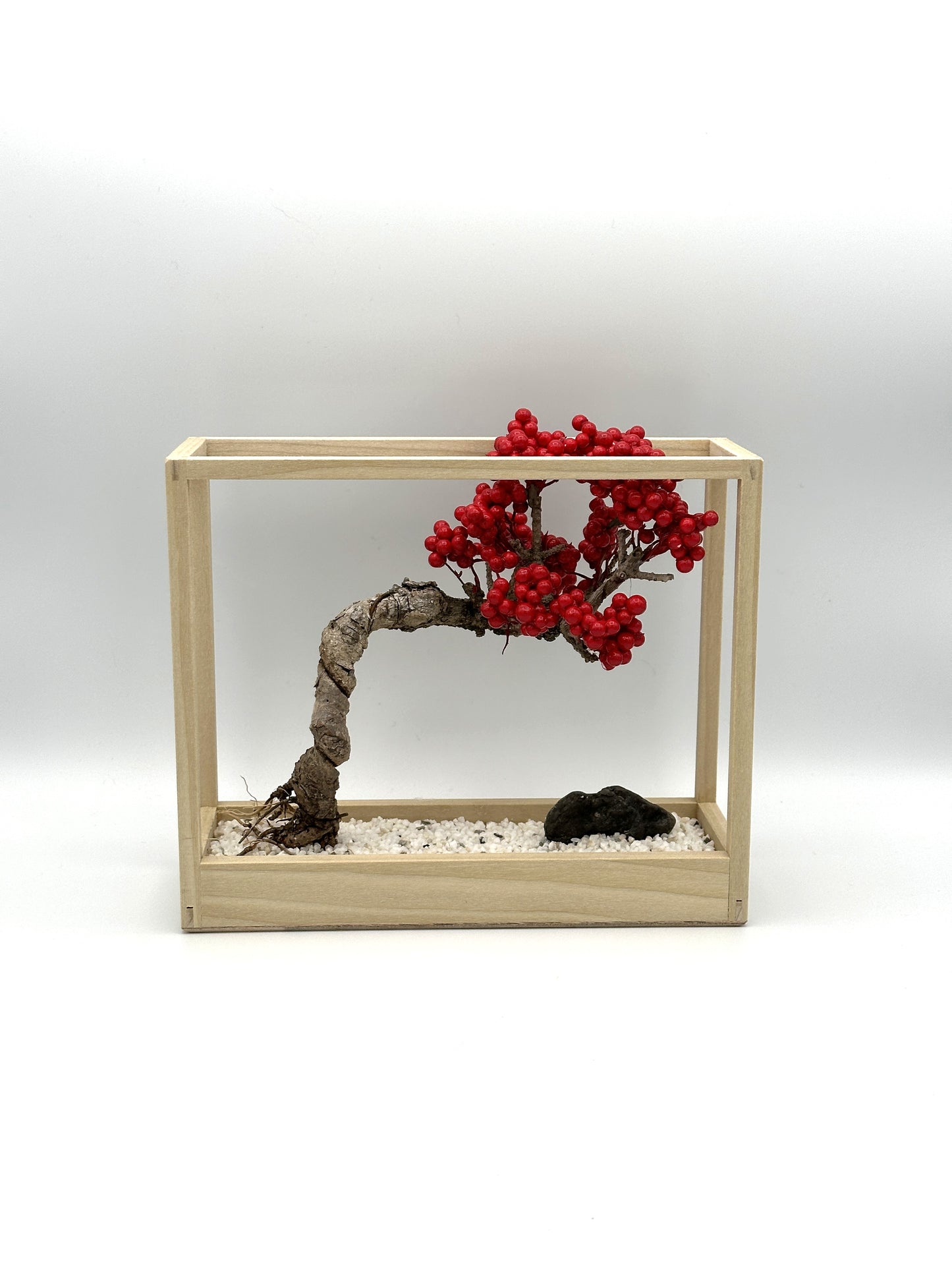 Lab-0085 La Bonsai sec frame type