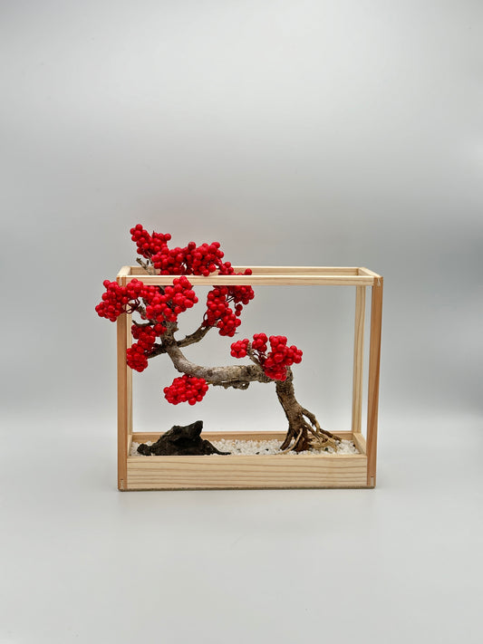 Lab-0086 La Bonsai sec frame type