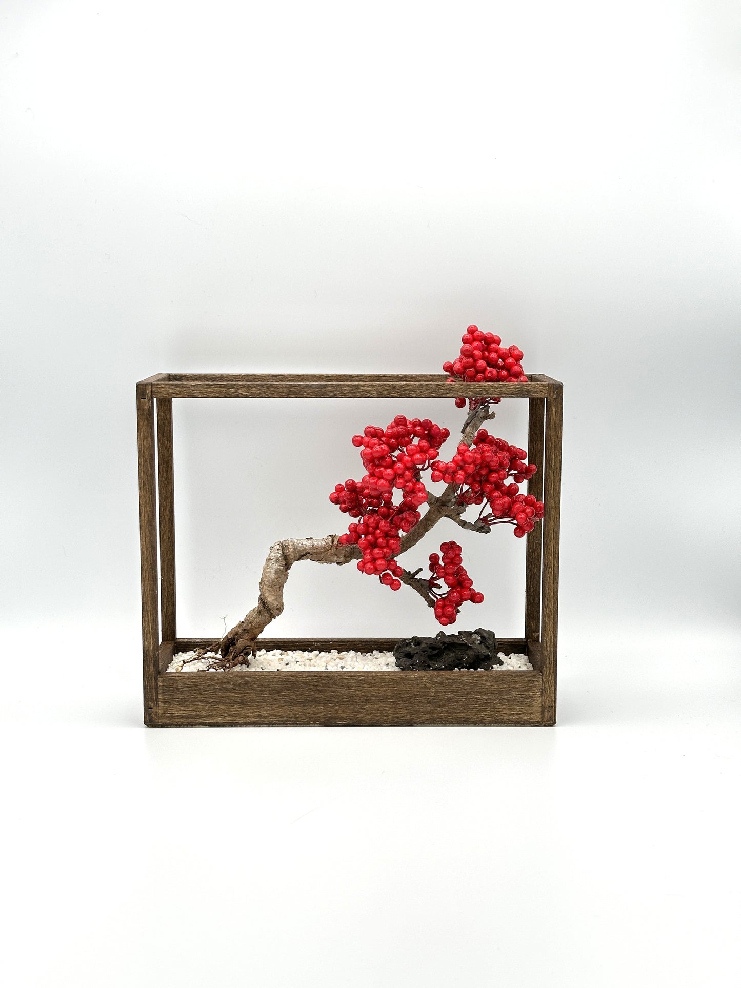 Lab-0087 La Bonsai sec frame type