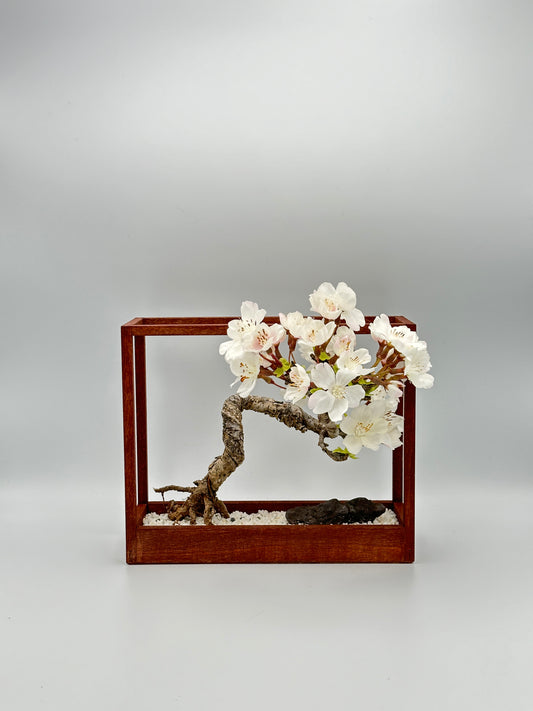 Lab-0088 La Bonsai sec frame type