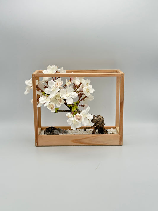 Lab-0090 La Bonsai sec frame type