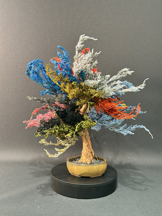 LaB-0100 不知火シリーズ